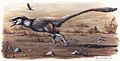 Dakotaraptor wiki