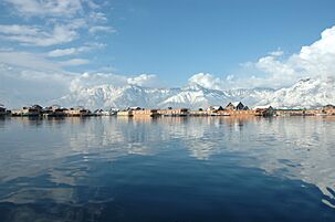 Dal Lake In Mid Summer