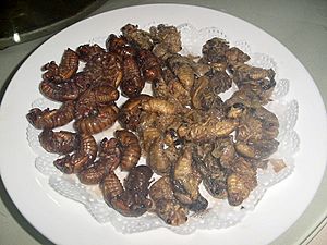 Deepfried cicada