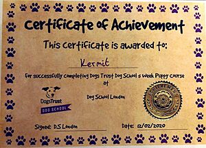 Dog Certificate of Achievement