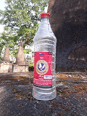 Dutch Cemetry at Chinsurah, Hooghly 34