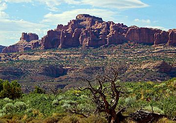 Elephant Butte in Arches National Park.jpg