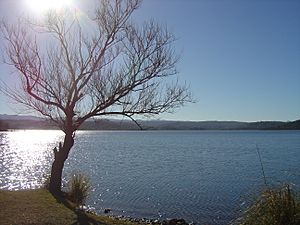 Embalse La Florida - panoramio.jpg