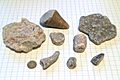 Fossils from Gotland beaches