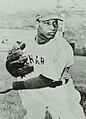 Gene Collins Baseball