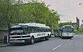 Green Tortoise bus and Metro Transit MAN articulated bus in Seattle 1984.jpg