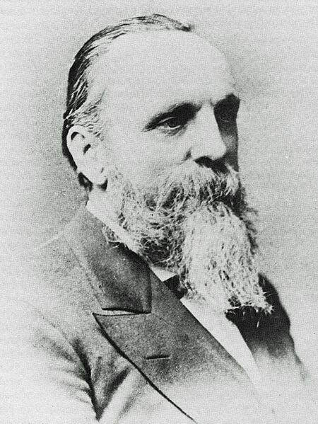 Henry Wells (3x4 cropped)