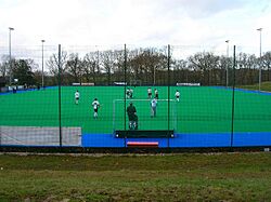Hockey Pitch, East Grinstead Sports Centre - geograph.org.uk - 624930