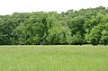 Illinois Campground, near Tahlequah, OK