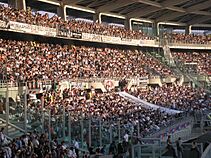 Juventus Turyn fans 2006