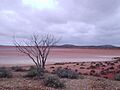 Lake Gairdner