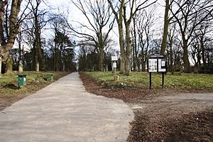 Linthorpe Cemetery from Nursery Lane - geograph.org.uk - 1735912.jpg