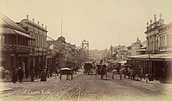 Looking down Queen Street from the Albert Street intersection, Brisbane, 1884