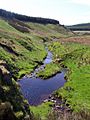 Looking south from Davidson`s Linn - geograph.org.uk - 777716