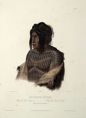 Mähsette Kuiuab Chief of the Cree indians 0022v