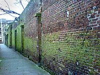 Marshalsea-wall-December2007