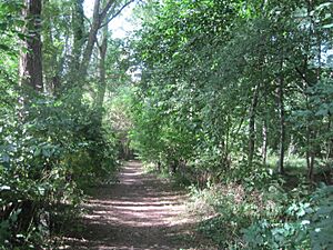 Melwood Local Nature Reserve 5