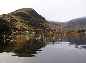 Mid Craig from Loch Skeen - geograph.org.uk - 1093104