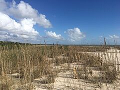 Middle Cape Sable