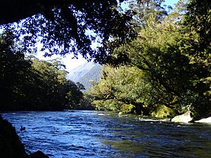 Moeraki River Westland Aotearoa New Zealand