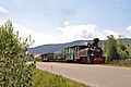 Moldovita forest railway 2013-07-12 02