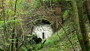 Mouth of disused railway tunnel - geograph.org.uk - 996056.jpg