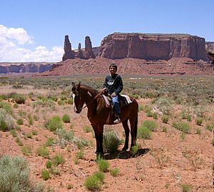 Navajo (young boy) 2007