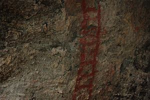 Ngaro cave painting--ladder--IMG 1572