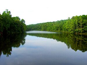 A photo of Spring Lake in Ozark Acres, Arkansas. Spring Lake is one of two lakes in the area.