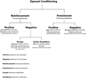 Operant conditioning diagram