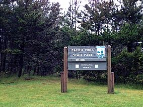 Pacific Pines State Park sign.jpeg