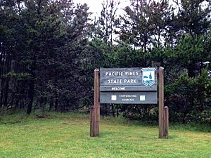 Pacific Pines State Park sign