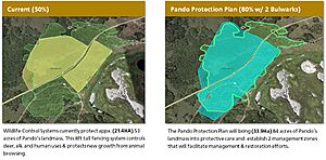 Pando Protection Plan Map