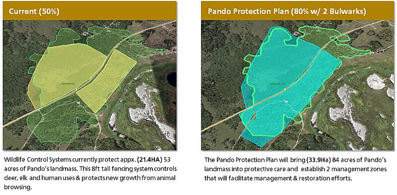 Pando Protection Plan Map