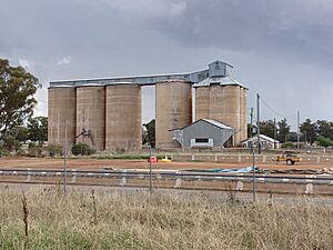 Peak Hill Silo