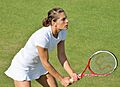 Petkovic WM13-006 (9461629178)