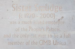 Plaque dedicated to Smudge outside the People's Palace