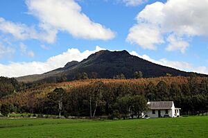 Quamby Bluff, tasmania