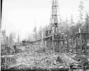 Railroad trestle under construction, Aloha Lumber Company, ca 1921 (KINSEY 22)