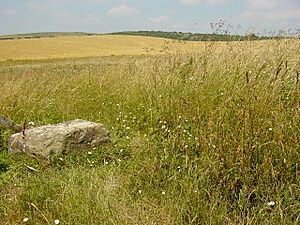 Rest and Be Thankful - geograph.org.uk - 27444