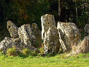 Rollright Stones (part), Oxfordshire - geograph.org.uk - 605684