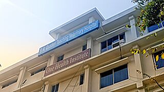 SA Quaderi Hospital CVASU