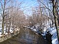 Scajaquada Creek within Forest Lawn Cemetery