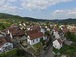 Schinznach DJI 0874.jpg