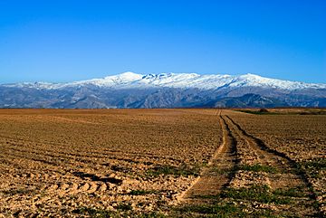 Sierra Nevada (Spain).jpg