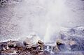 SprayGeyser1966
