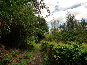 Staines Moor – 20180731 125037 (43762908801)