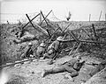 The German Spring Offensive, March-july 1918 Q6595