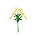 The Kanem-Bornu Empire old flag