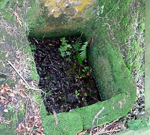 The Lady's Well spring, Auchmannoch, Near Sorn, East Ayrshire